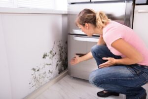 Jak przygotować mieszkanie na jesienne deszcze i wilgoć? 10 skutecznych porad, kt&oacute;re ochronią Tw&oacute;j dom przed pleśnią, stratami ciepła i zawilgoceniem.