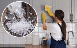 Jak używać soli kuchennej do sprzątania domu? Proste sposoby na czyszczenie kuchni, łazienki i tkanin, neutralizowanie zapach&oacute;w i ochronę ogrodu.