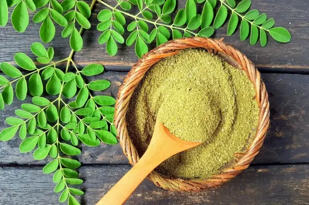 Moringa – superfood pełne witamin i minerałów. Poznaj działanie, dawkowanie, przeciwwskazania i sposoby stosowania moringi w codziennej diecie.