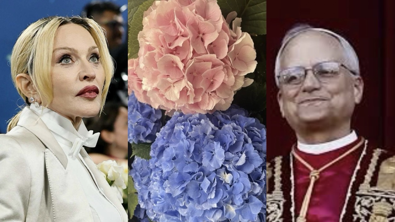Madonna, hortensje i papież: od skandalu w Wenecji po symbolikę kwiatów w Watykanie – historia, znaczenia i kulturowe kontrasty.