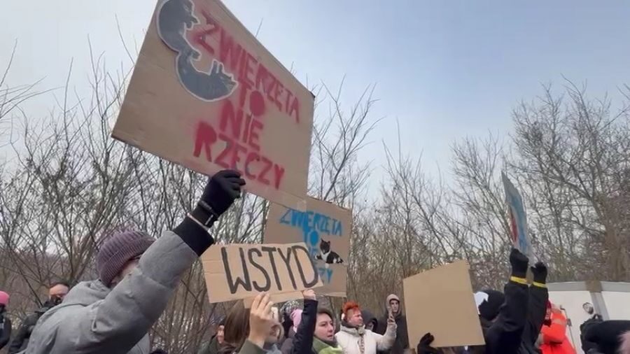 „Spotkanie Milczenia” przed schroniskiem w Bytomiu. Mieszkańcy i społecznicy żądają realnych zmian po doniesieniach o zaniedbaniach. Miasto zrywa umowę z operatorem