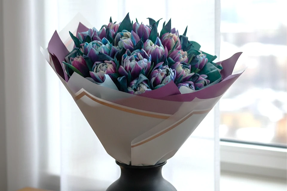 Fioletowe tulipany — niezwykły luksus